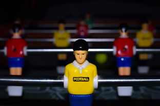 Leyu Sport登录入口-世界足球赛事的多彩幕后：球迷、志愿者的故事，足球志愿者招募