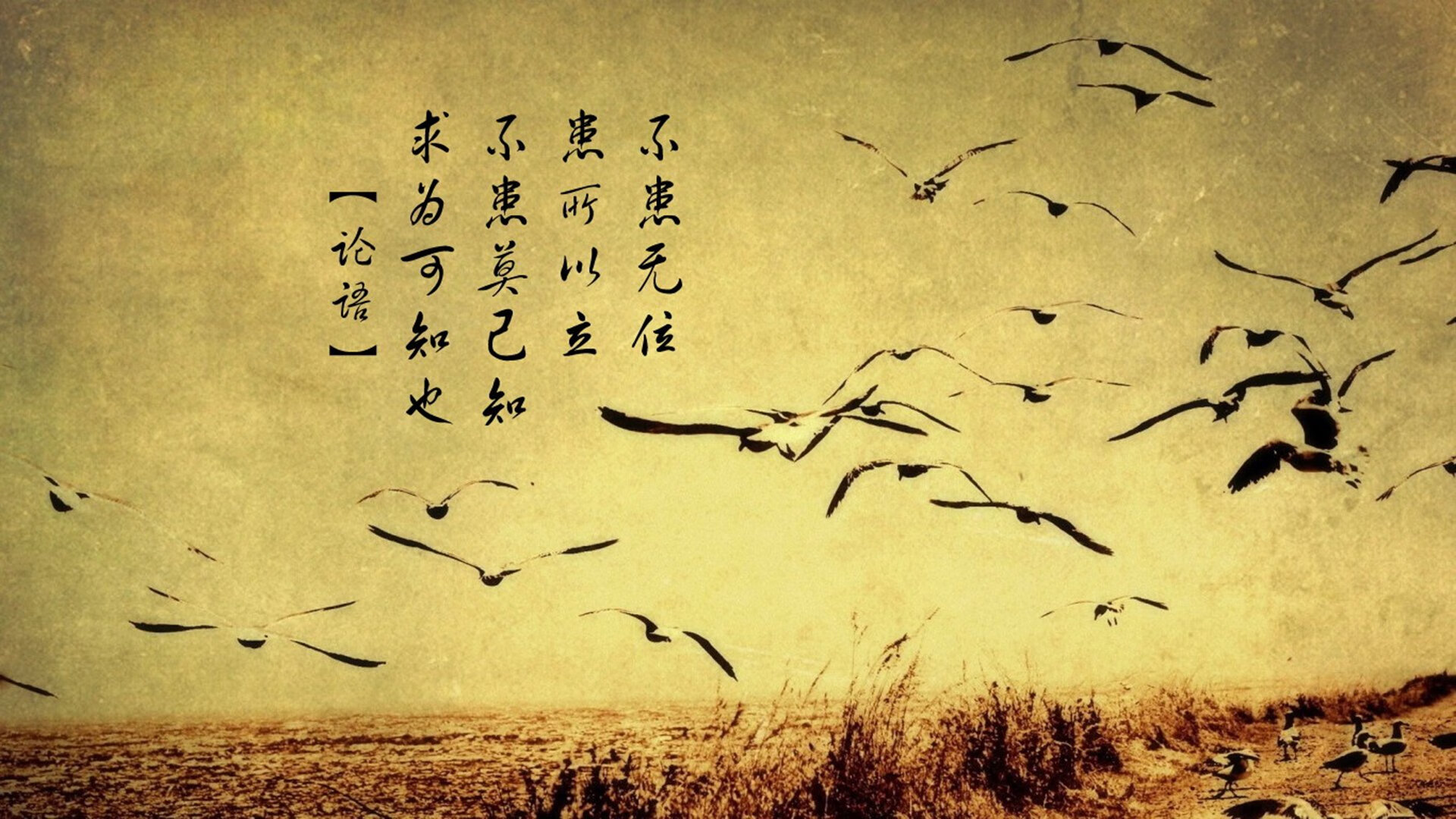 体育新闻中心发布高水平运动队内训监管措施,高水平运动队管理制度