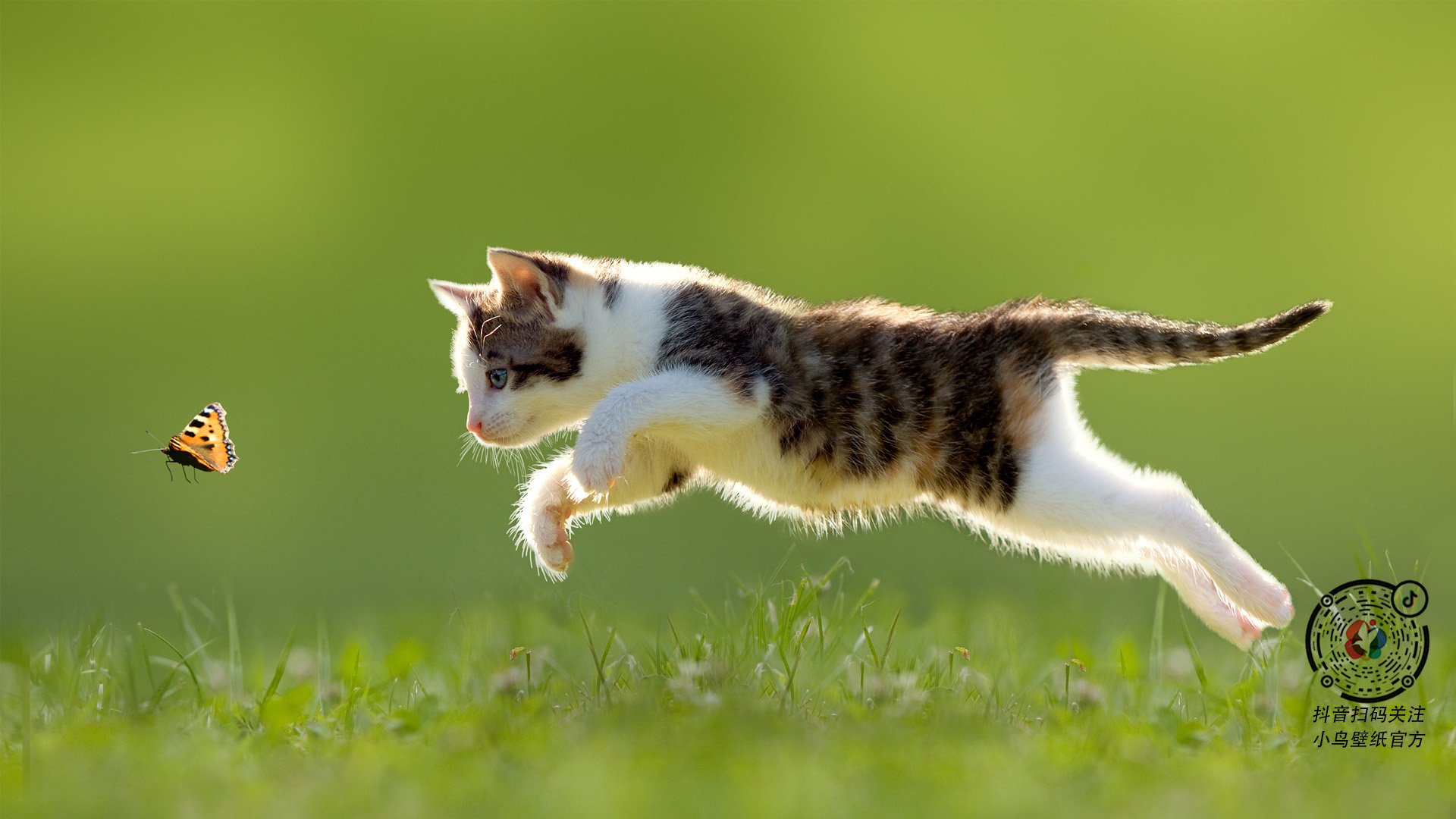 乐鱼官方登录入口-女篮国家队注重篮下强攻培养提升内线威慑，国家队女篮要求