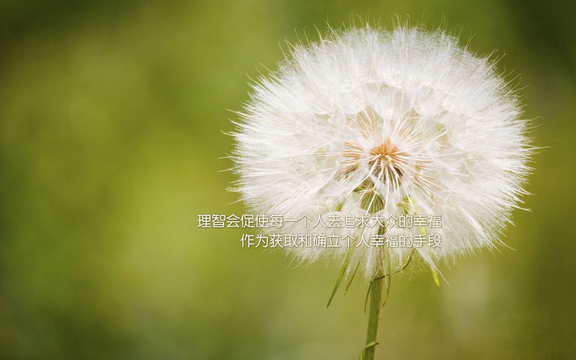 leyu乐鱼在线登录入口-托里·哈斯克100米自由泳赛道亮点，美国游泳哈斯克